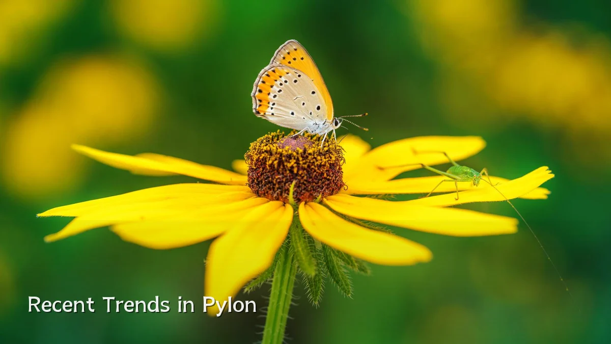 Recent Trends in Pylon