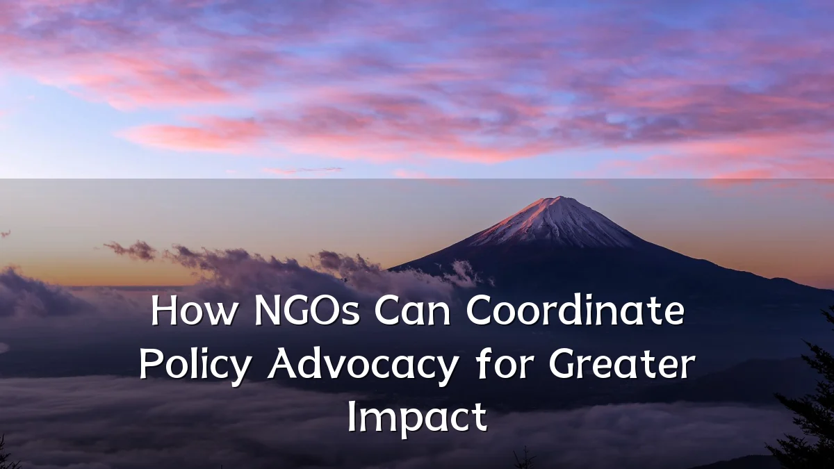 How NGOs Can Coordinate Policy Advocacy for Greater Impact