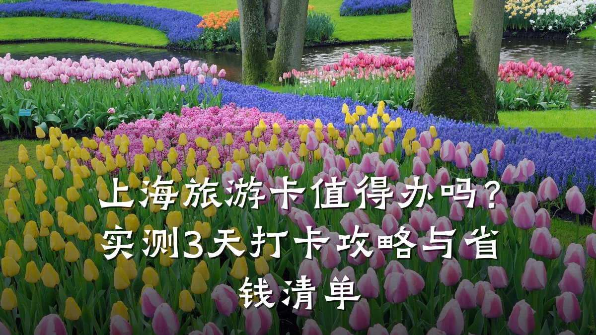 上海旅游卡值得办吗?实测3天打卡攻略与省钱清单