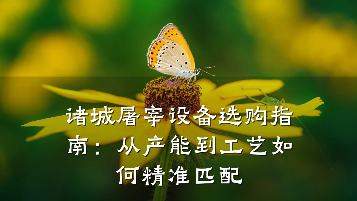 诸城屠宰设备选购指南：从产能到工艺如何精准匹配
