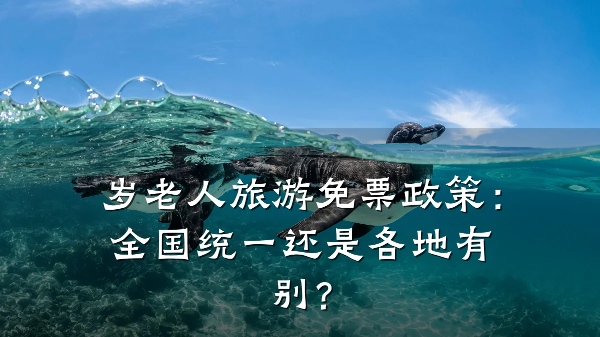 岁老人旅游免票政策:全国统一还是各地有别?