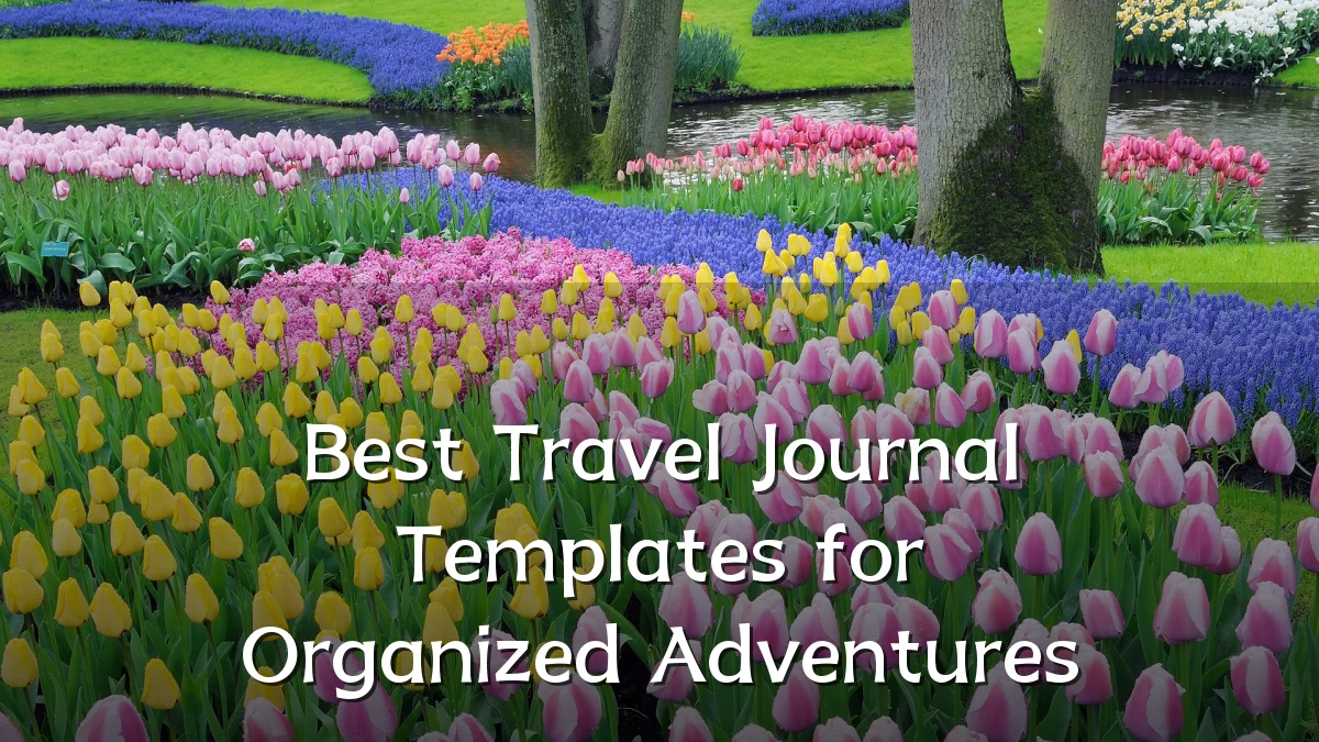 Best Travel Journal Templates for Organized Adventures