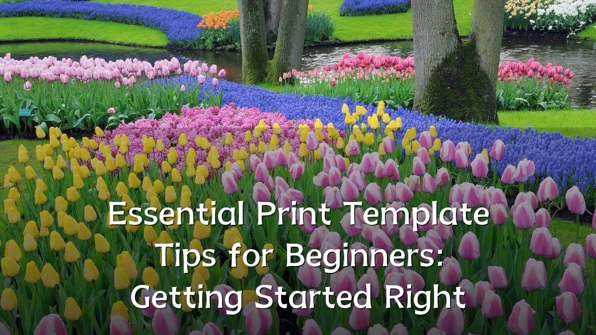 Essential Print Template Tips for Beginners: Getting Started Right