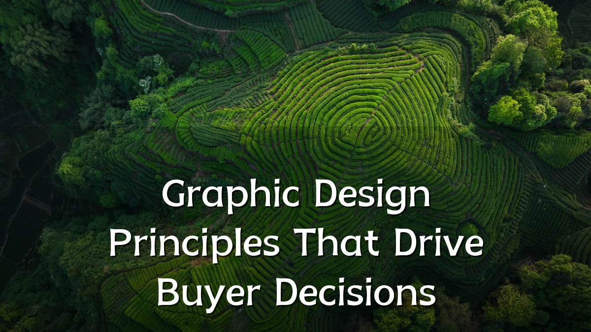 Graphic Design Principles That Drive Buyer Decisions