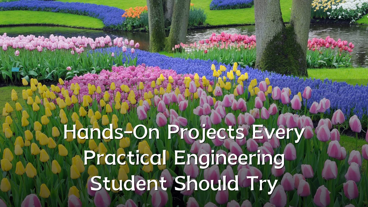 Hands-On Projects Every Practical Engineering Student Should Try