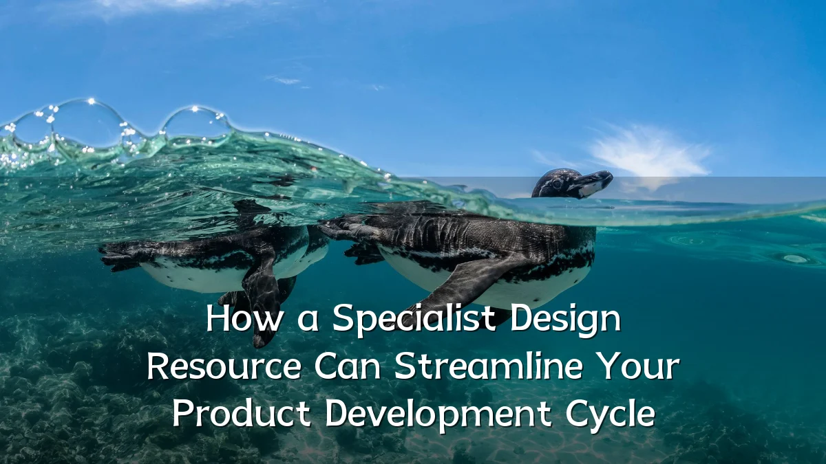 How a Specialist Design Resource Can Streamline Your Product Development Cycle