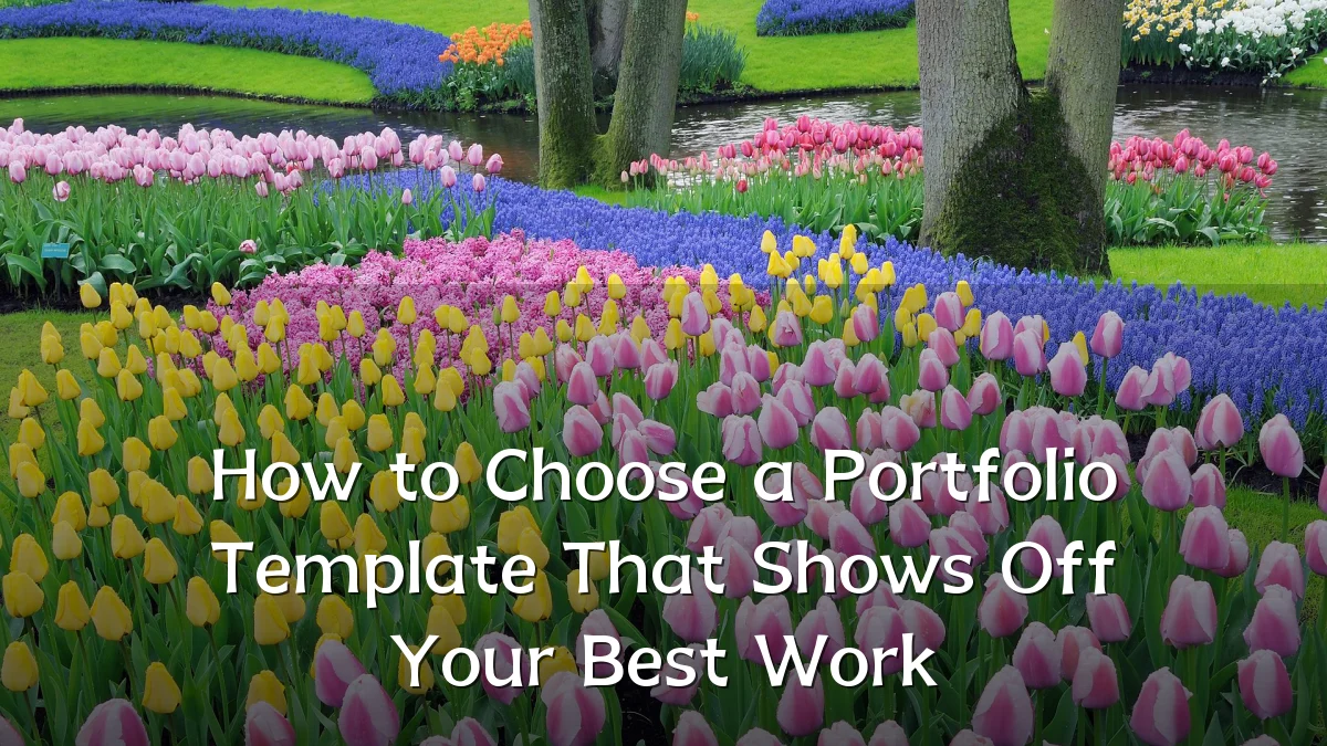 How to Choose a Portfolio Template That Shows Off Your Best Work