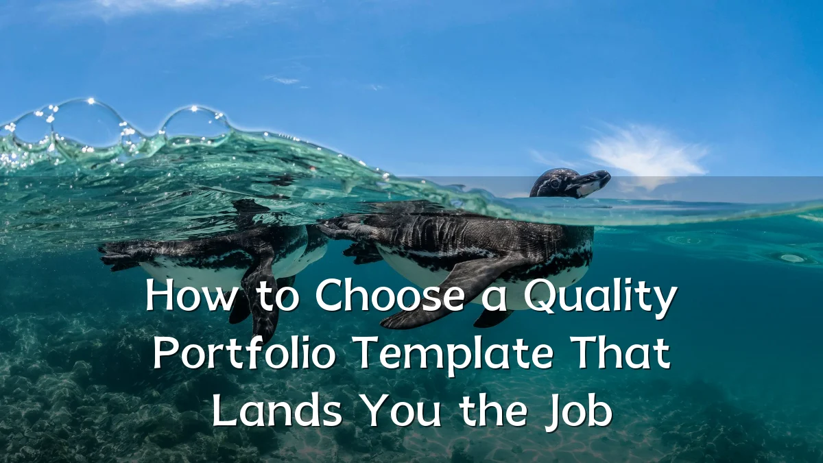How to Choose a Quality Portfolio Template That Lands You the Job