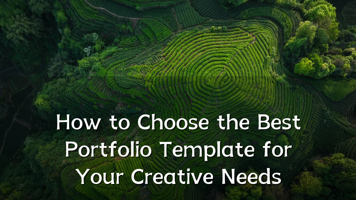 How to Choose the Best Portfolio Template for Your Creative Needs