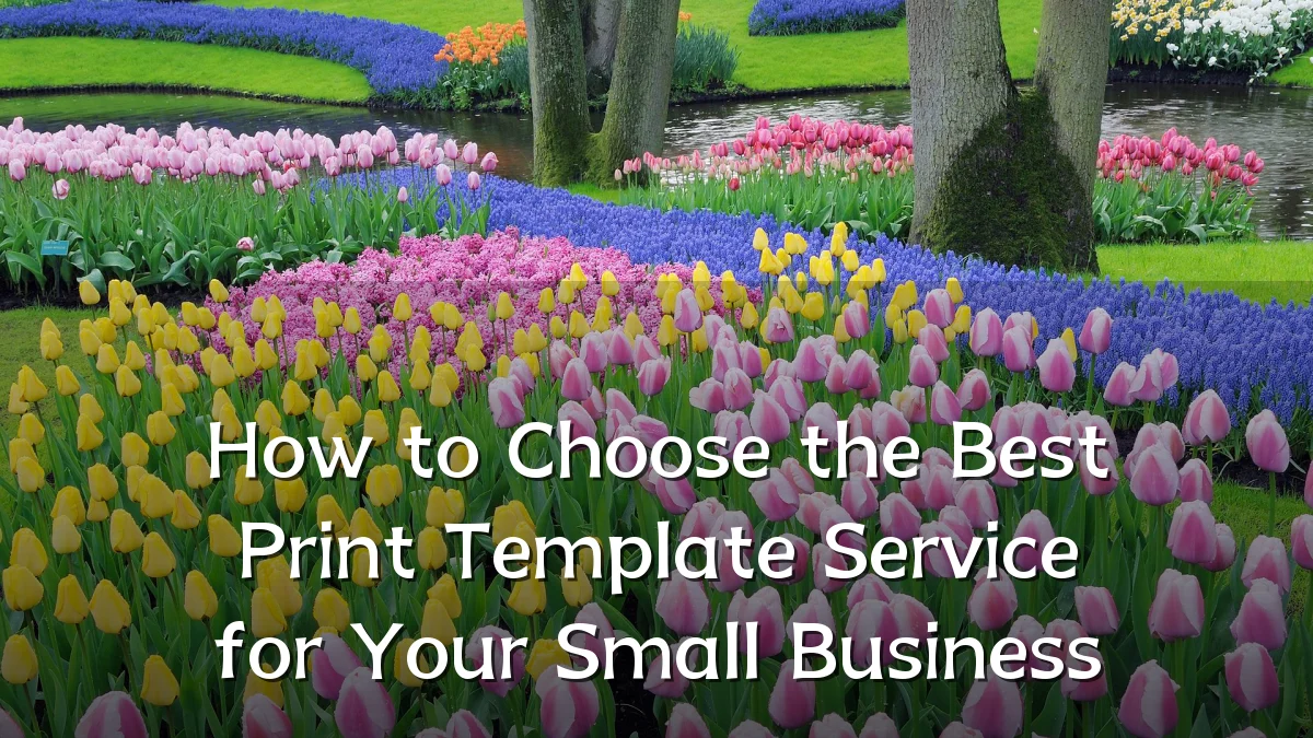 How to Choose the Best Print Template Service for Your Small Business