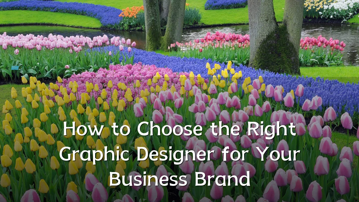 How to Choose the Right Graphic Designer for Your Business Brand