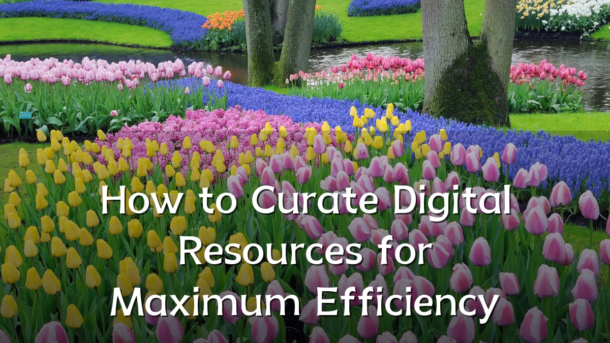 How to Curate Digital Resources for Maximum Efficiency