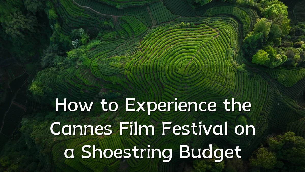 How to Experience the Cannes Film Festival on a Shoestring Budget