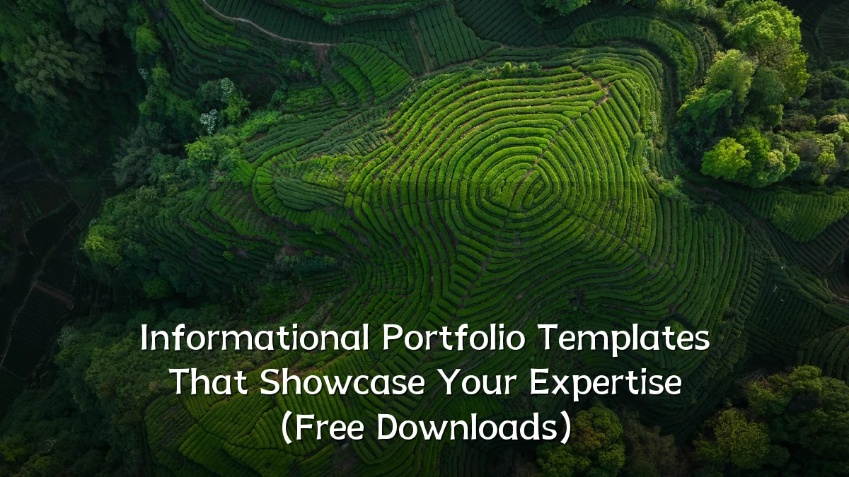 Informational Portfolio Templates That Showcase Your Expertise (Free Downloads)