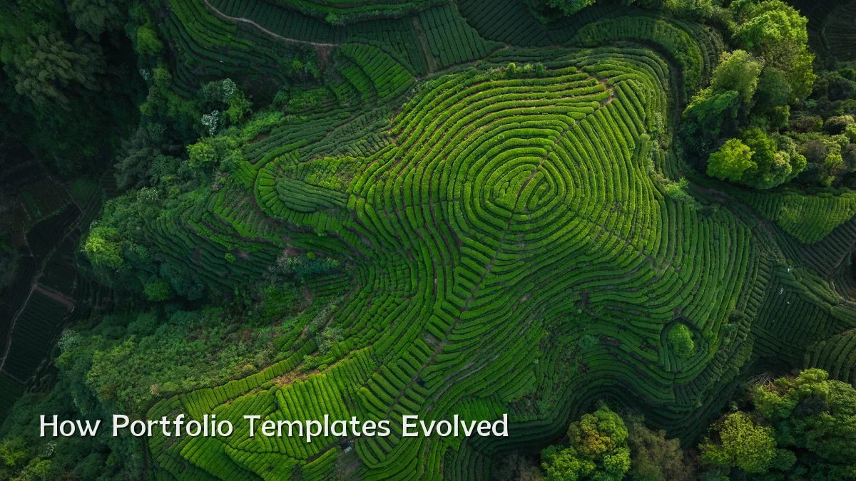 How Portfolio Templates Evolved