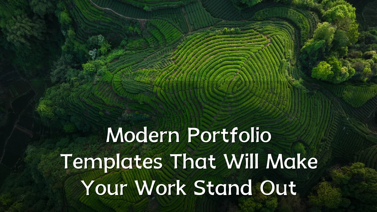 Modern Portfolio Templates That Will Make Your Work Stand Out