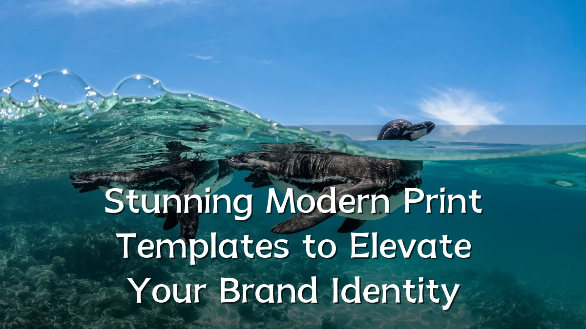Stunning Modern Print Templates to Elevate Your Brand Identity