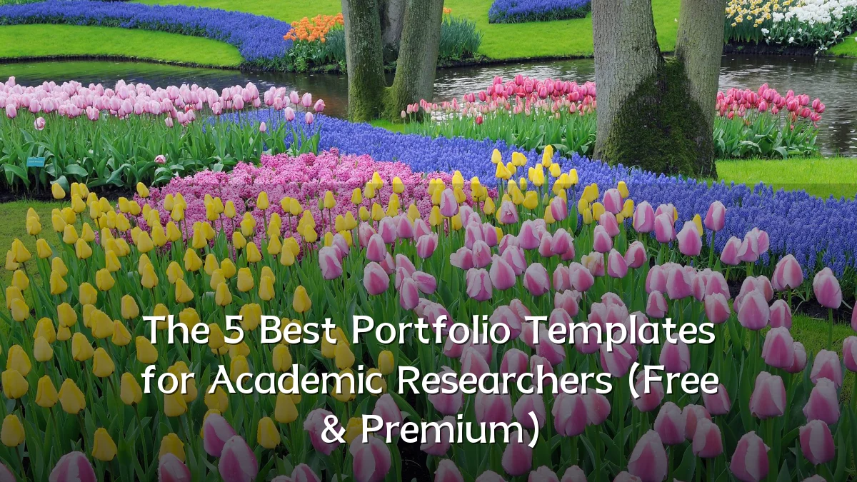 The 5 Best Portfolio Templates for Academic Researchers (Free & Premium)