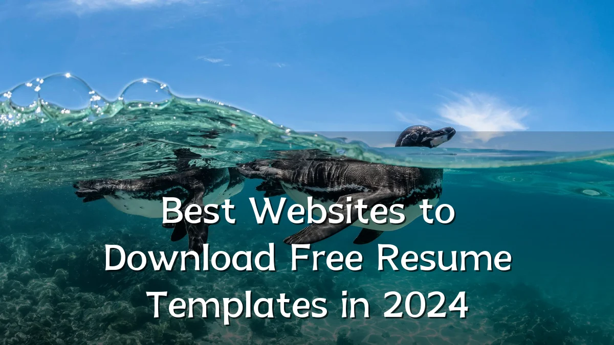 Best Websites to Download Free Resume Templates in 2024