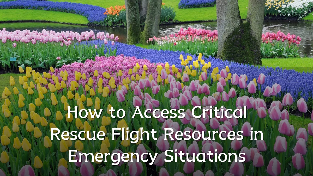 How to Access Critical Rescue Flight Resources in Emergency Situations