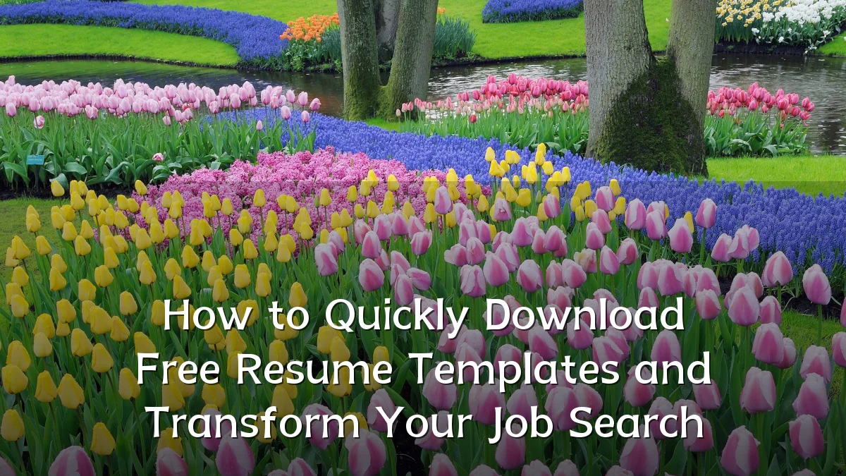 How to Quickly Download Free Resume Templates and Transform Your Job Search