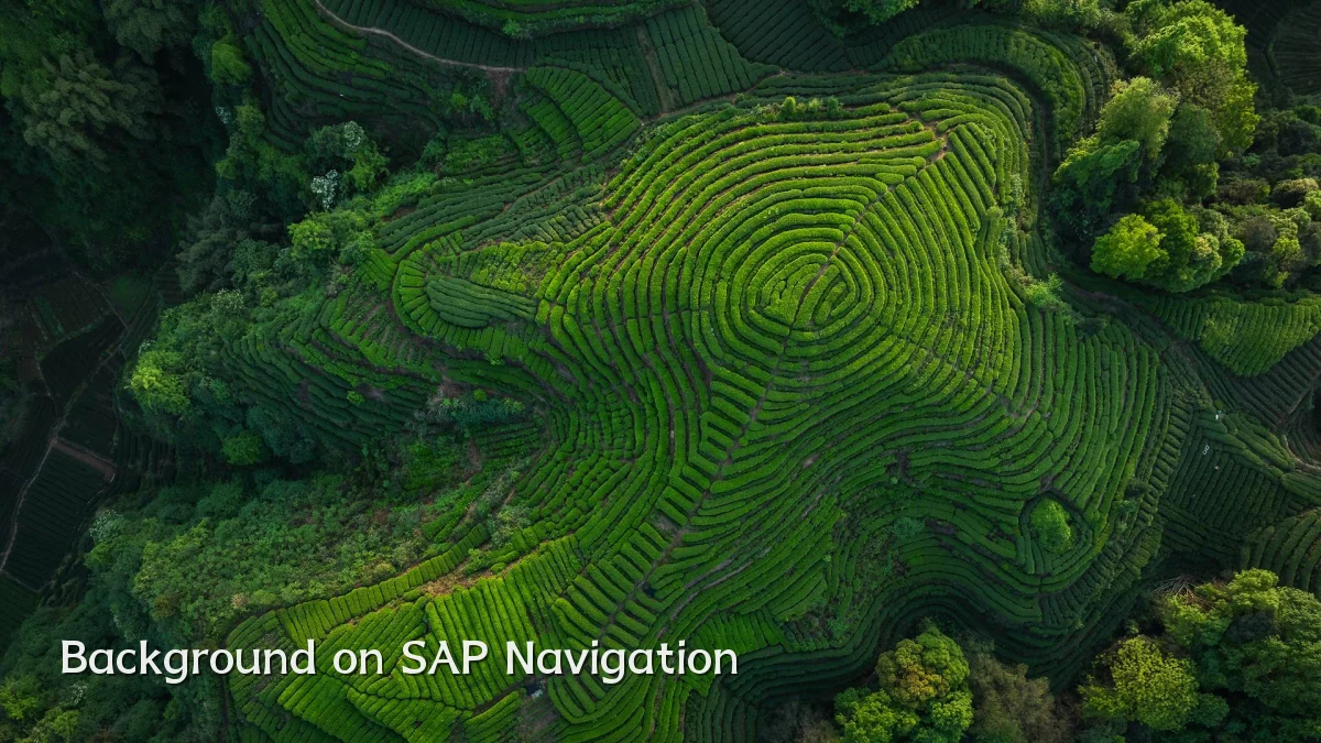 Background on SAP Navigation