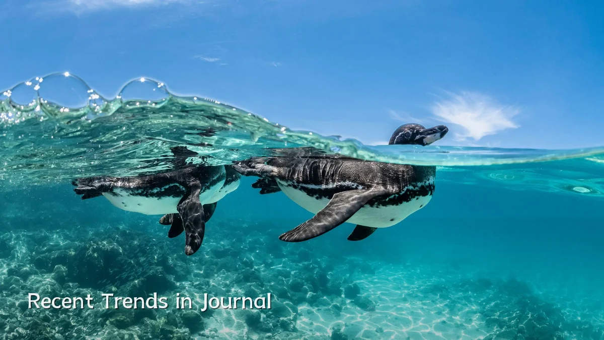 Recent Trends in Journal