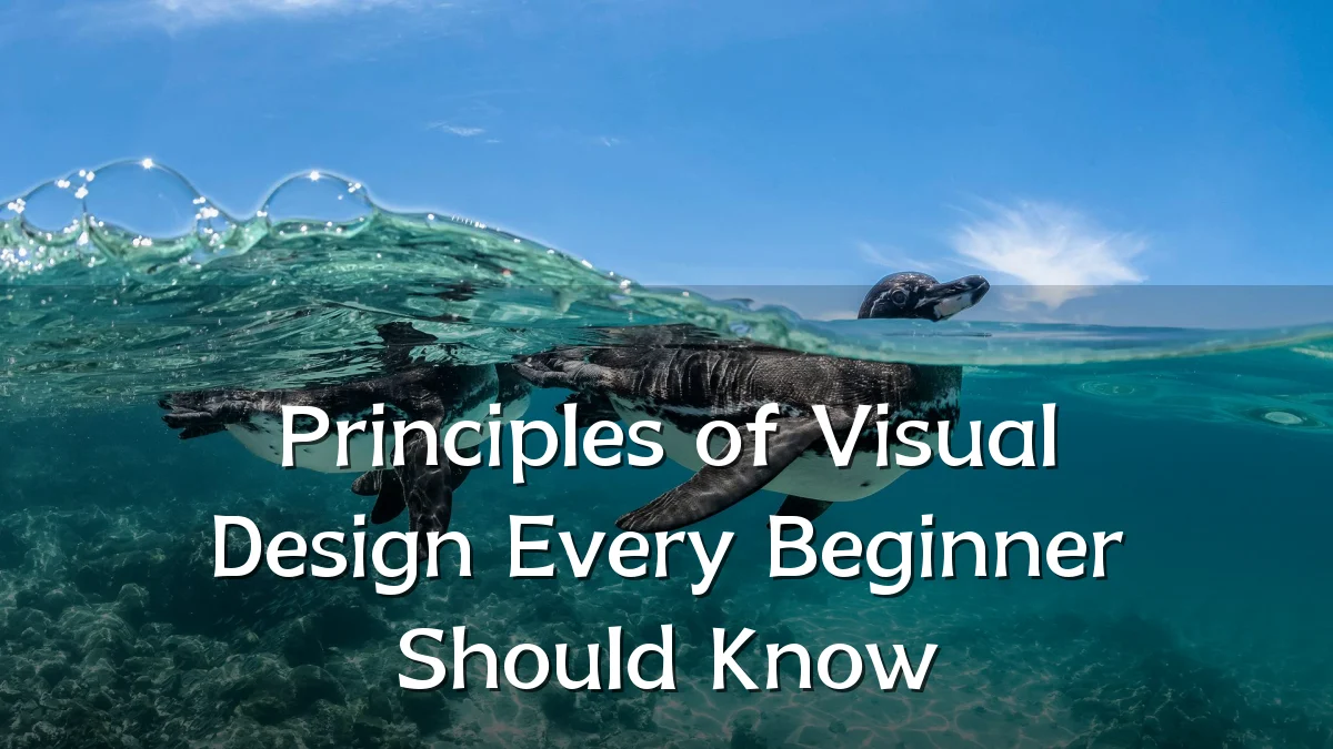 Principles of Visual Design Every Beginner Should Know