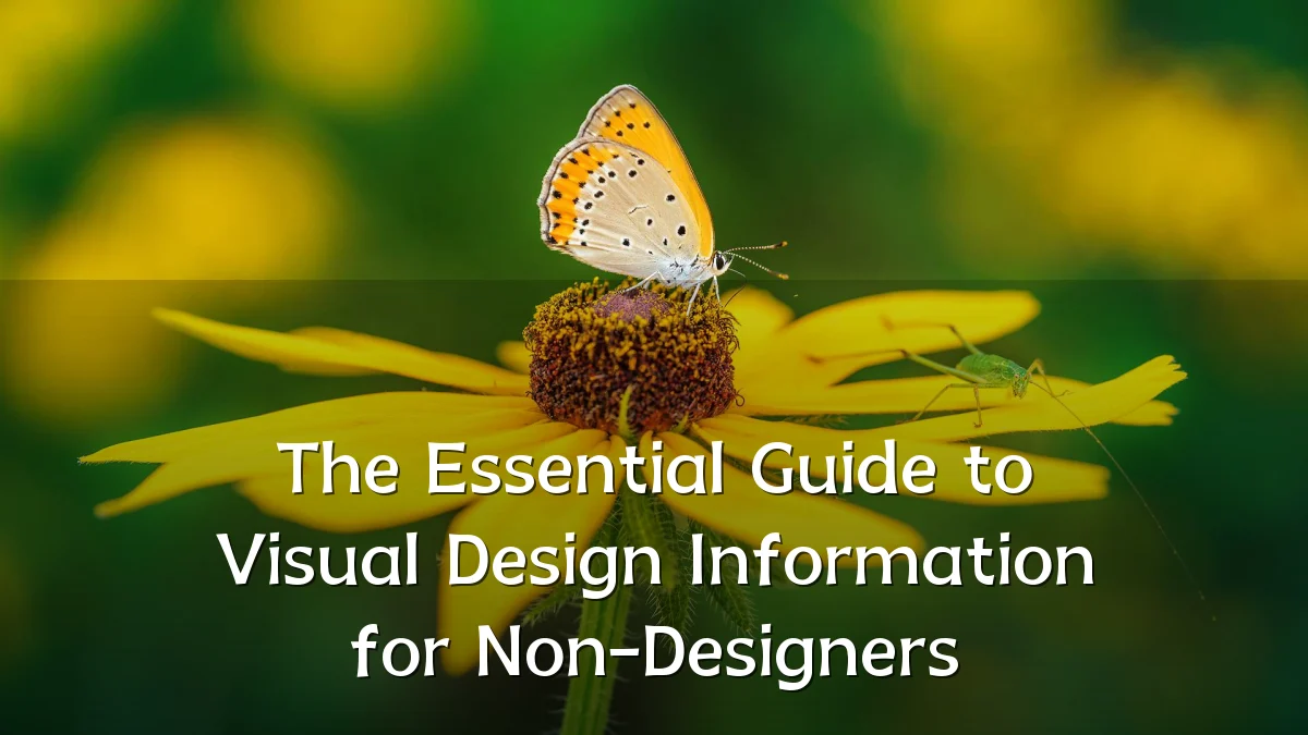 The Essential Guide to Visual Design Information for Non-Designers