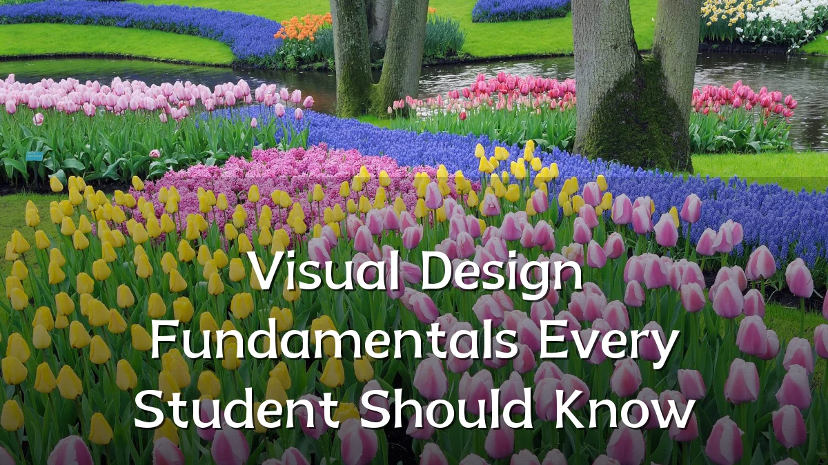 Visual Design Fundamentals Every Student Should Know