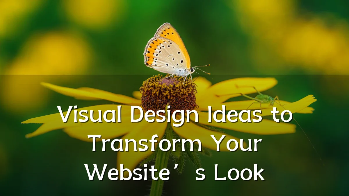 Visual Design Ideas to Transform Your Website’s Look