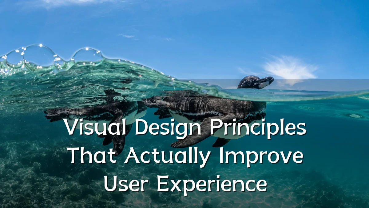 Visual Design Principles That Actually Improve User Experience
