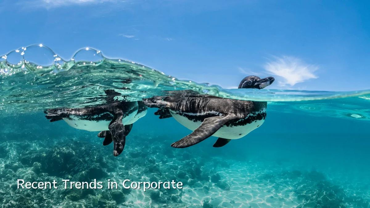 Recent Trends in Corporate