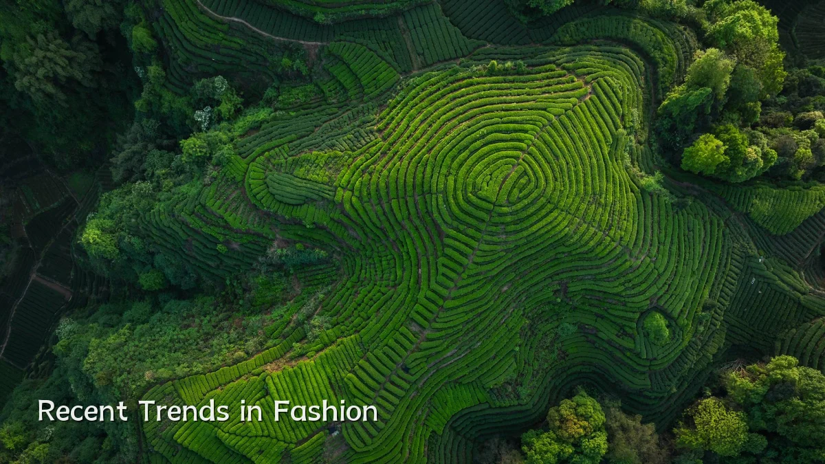 Recent Trends in Fashion