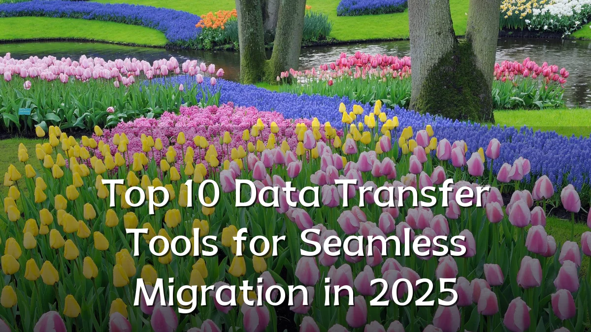 Top 10 Data Transfer Tools for Seamless Migration in 2025