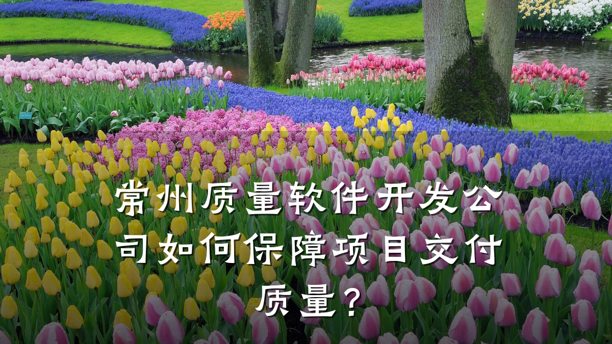 常州质量软件开发公司如何保障项目交付质量？
