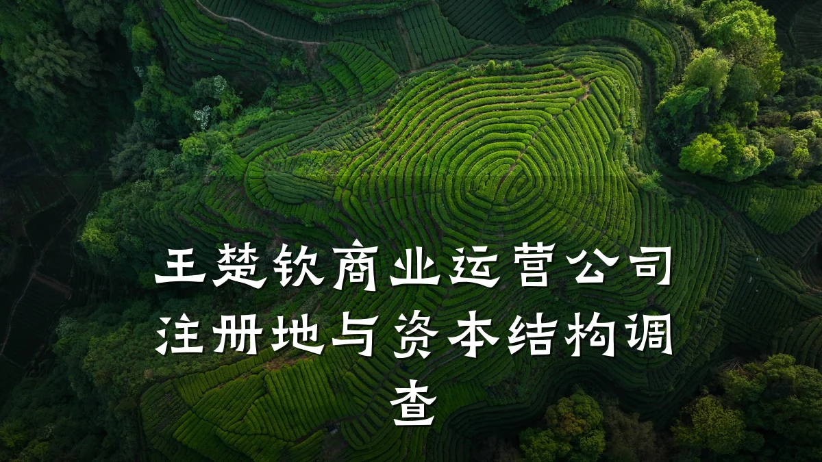 王楚钦商业运营公司注册地与资本结构调查