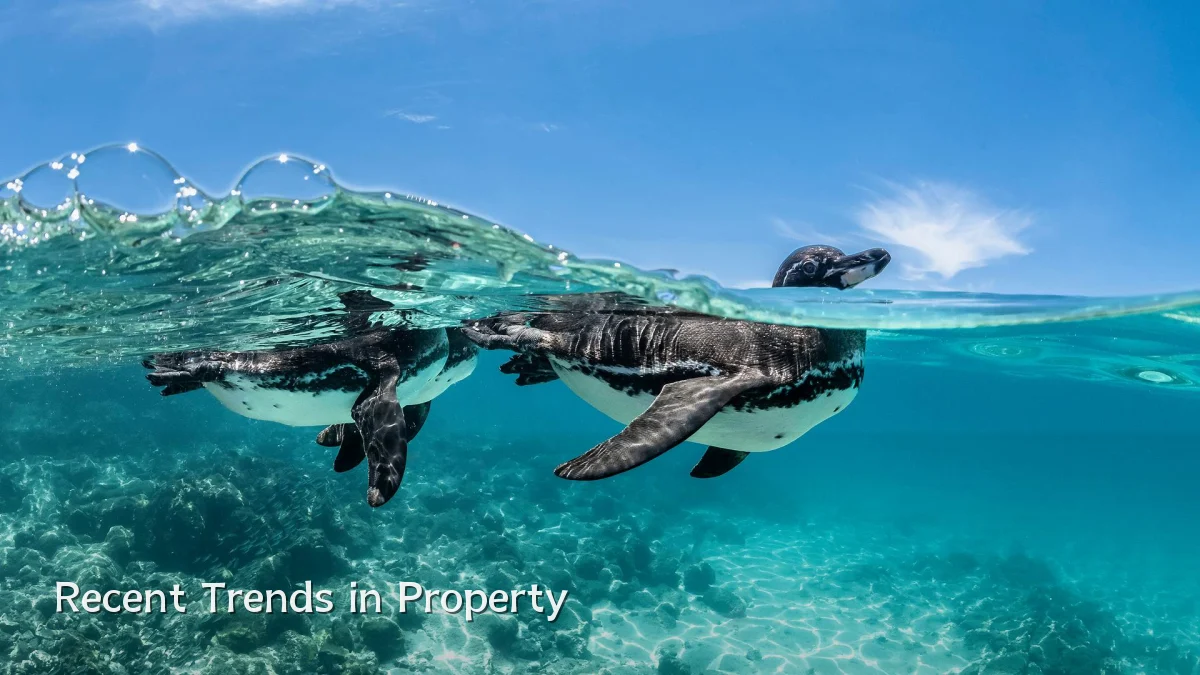 Recent Trends in Property
